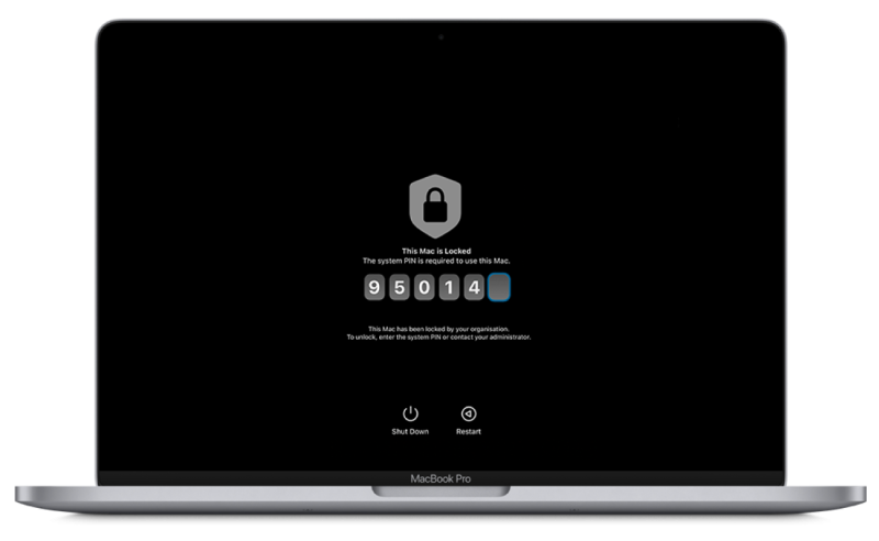 EFI Unlock (Firmware Unlock) - Image 2
