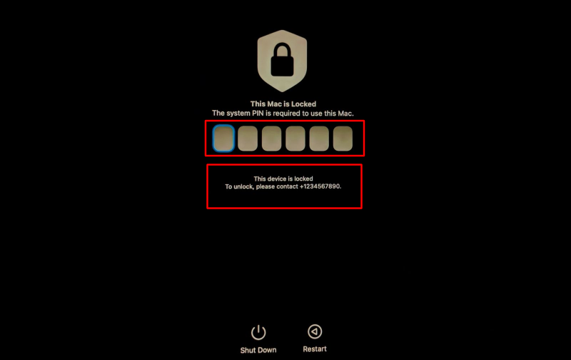 EFI Unlock (Firmware Unlock) - Image 3