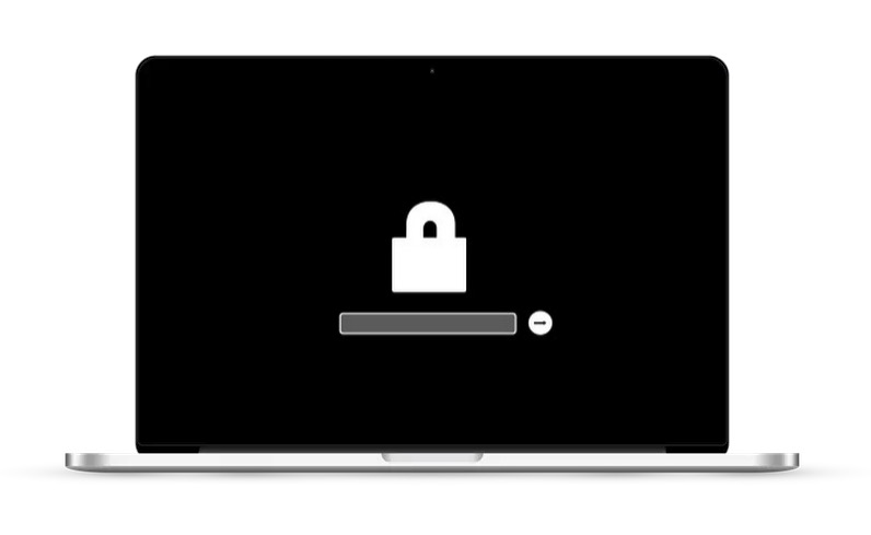 EFI Unlock (Firmware Unlock)