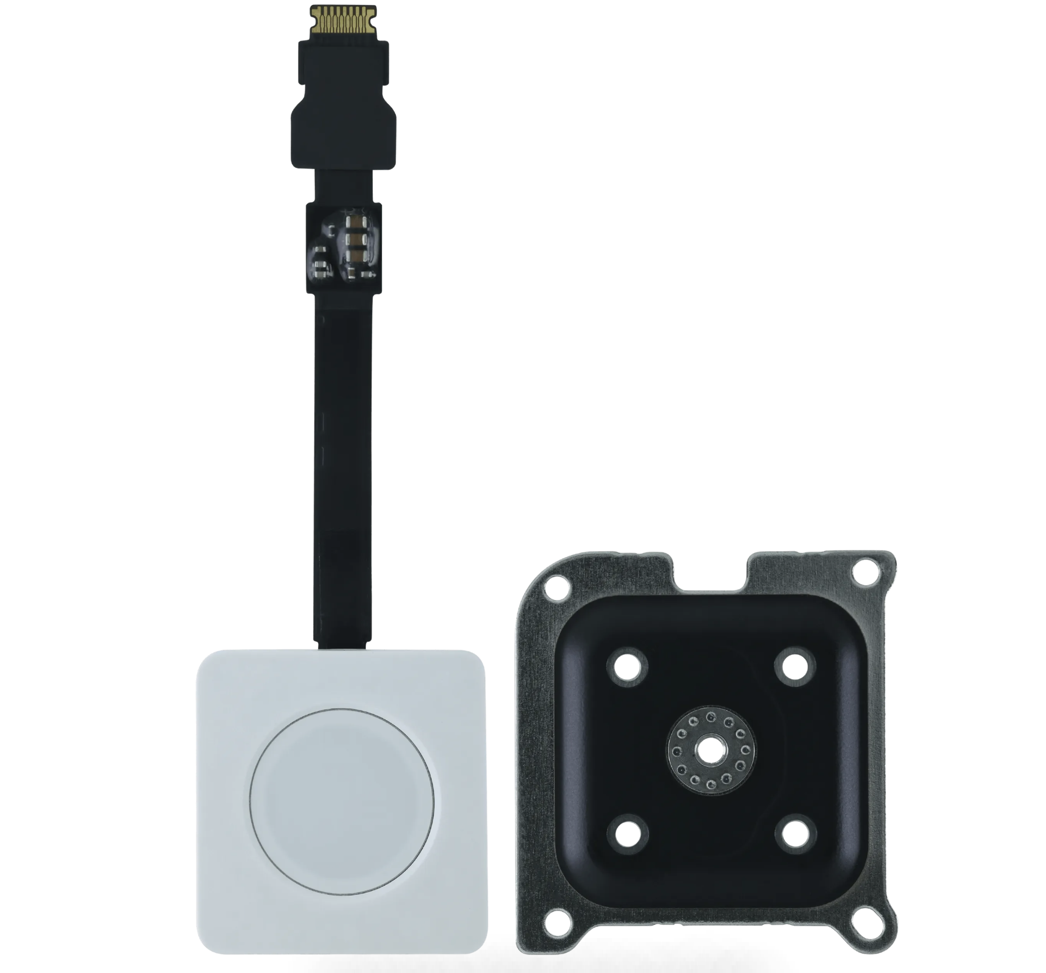Touch ID Board